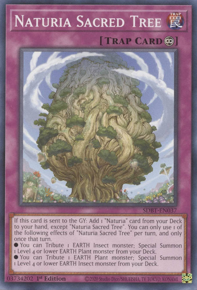 Naturia Sacred Tree [SDBT-EN037] Common | North Game Den