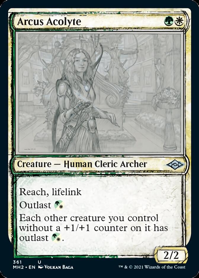 Arcus Acolyte (Sketch) [Modern Horizons 2] | North Game Den