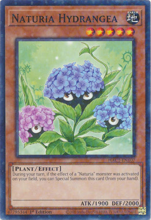 Naturia Hydrangea (Duel Terminal) [HAC1-EN107] Common | North Game Den