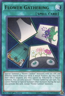 Flower Gathering [DRL3-EN040] Ultra Rare | North Game Den