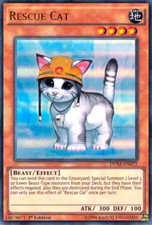 Rescue Cat [DUSA-EN072] Ultra Rare | North Game Den