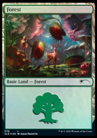 Forest (Predatory) (578) [Secret Lair Drop Promos] | North Game Den