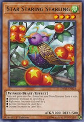 Star Staring Starling [DANE-EN024] Rare | North Game Den