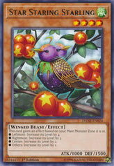 Star Staring Starling [DANE-EN024] Rare | North Game Den