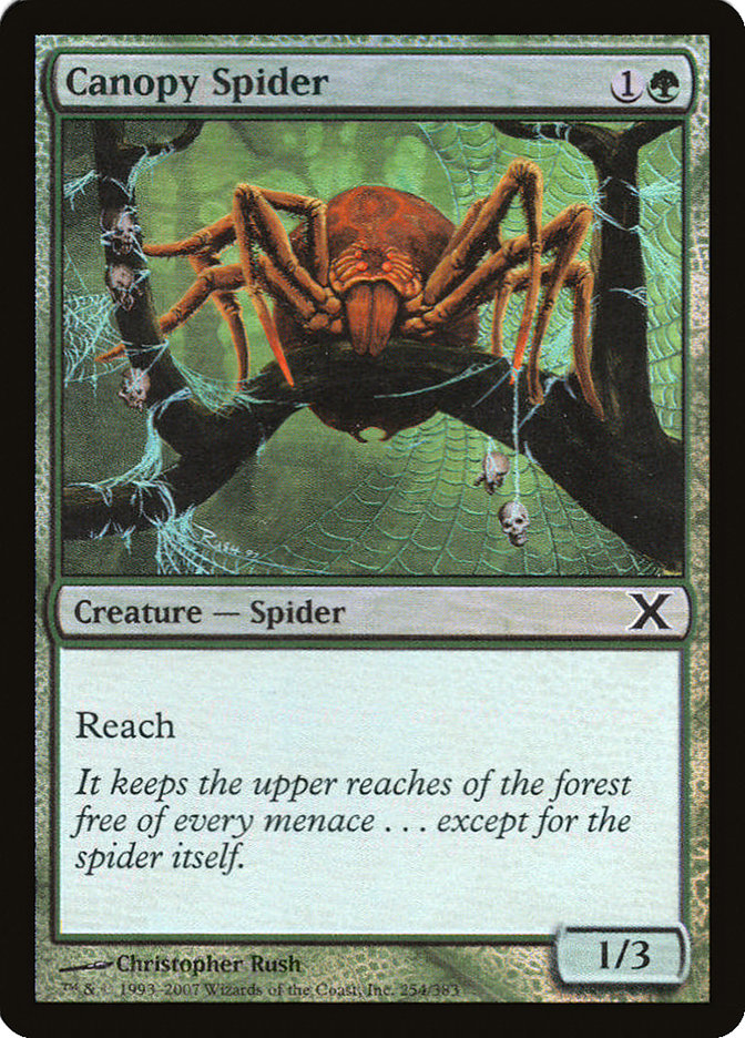 Canopy Spider (Premium Foil) [Tenth Edition] | North Game Den