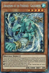 Awakening of the Possessed - Gagigobyte [DLCS-EN143] Secret Rare | North Game Den