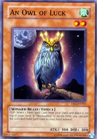 An Owl of Luck [DR1-EN021] Common | North Game Den