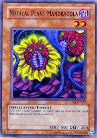 Magical Plant Mandragola [DR1-EN127] Common | North Game Den