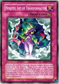 Ninjitsu Art of Transformation [DR2-EN164] Common | North Game Den