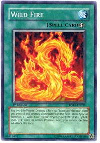 Wild Fire [FOTB-EN039] Common | North Game Den