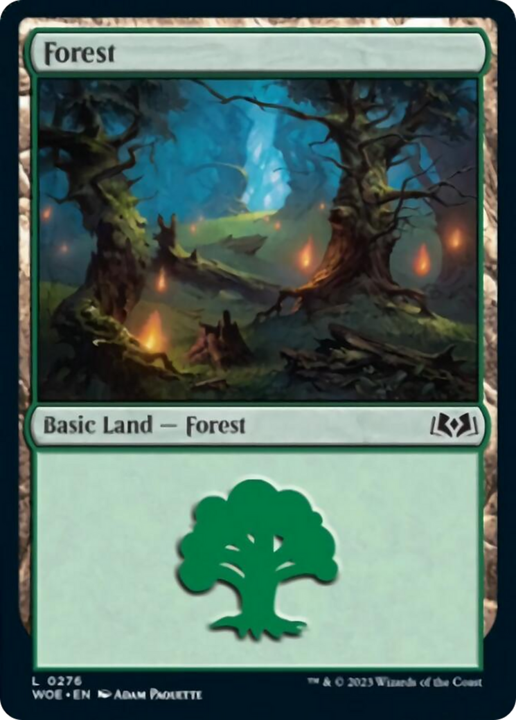Forest (0276) [Wilds of Eldraine] | North Game Den