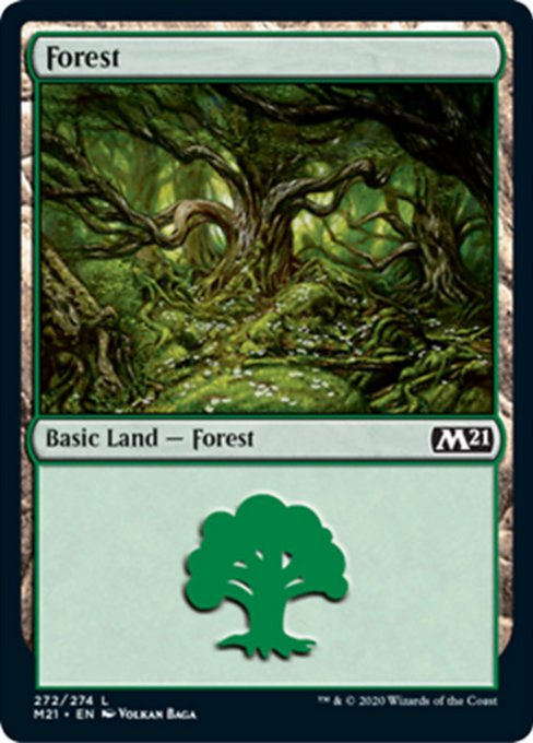 Forest [Core Set 2021] | North Game Den