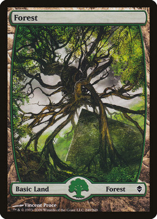 Forest (249) - Full Art [Zendikar] | North Game Den