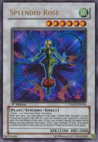 Splendid Rose [TSHD-EN043] Ultra Rare | North Game Den