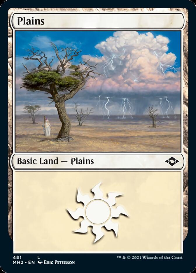 Plains (481) (Foil Etched) [Modern Horizons 2] | North Game Den