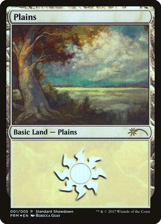 Plains (Rebecca Guay) [XLN Standard Showdown] | North Game Den