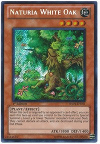 Naturia White Oak [HA04-EN051] Secret Rare | North Game Den