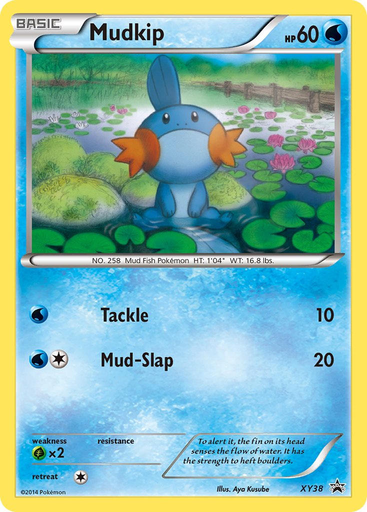 Mudkip (XY38) [XY: Black Star Promos] | North Game Den