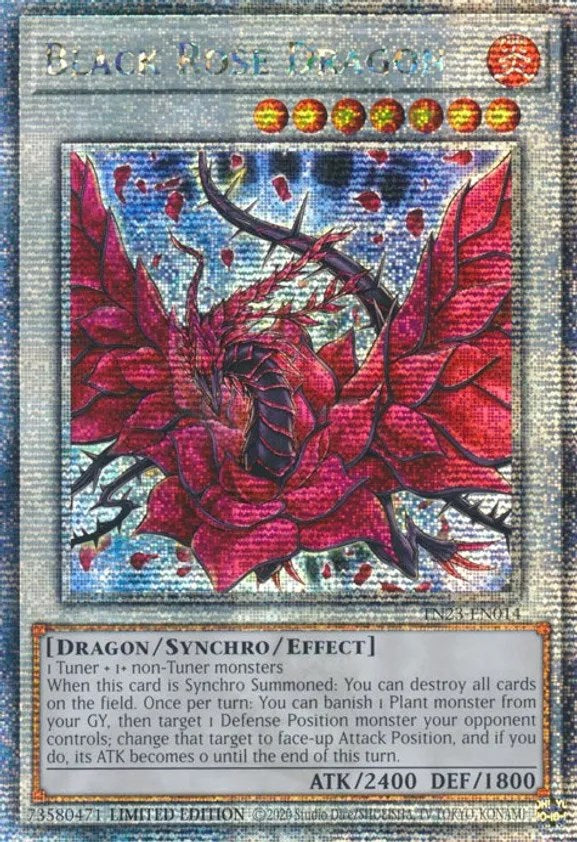 Black Rose Dragon [TN23-EN014] Quarter Century Secret Rare | North Game Den