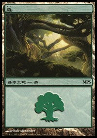 Forest - Zendikar Cycle [Magic Premiere Shop] | North Game Den