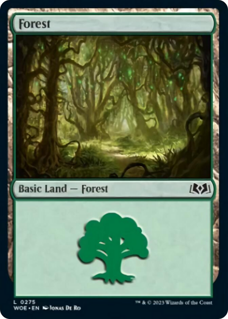Forest (0275) [Wilds of Eldraine] | North Game Den