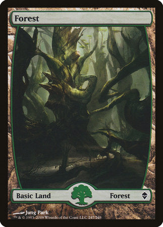 Forest (247) - Full Art [Zendikar] | North Game Den