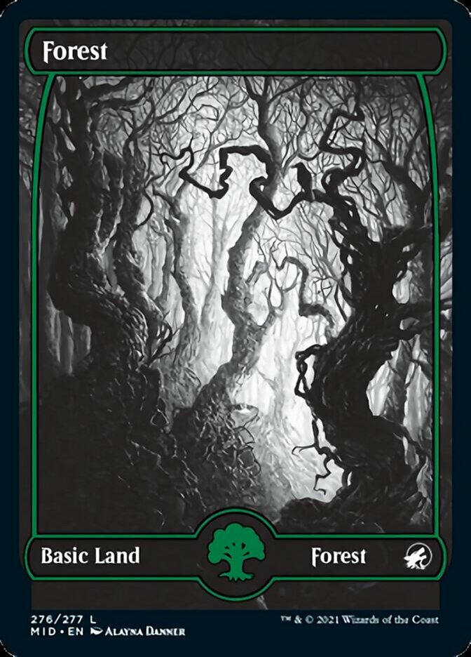 Forest (276) [Innistrad: Midnight Hunt] | North Game Den