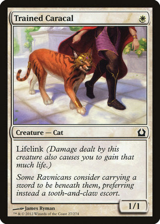 Trained Caracal [Return to Ravnica] | North Game Den