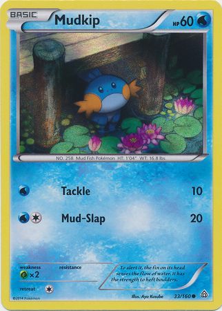 Mudkip (33/160) (Sheen Holo) [XY: Primal Clash] | North Game Den