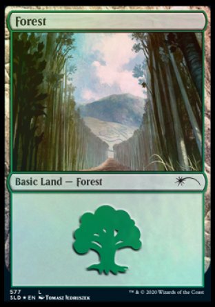 Forest (Walls) (577) [Secret Lair Drop Promos] | North Game Den