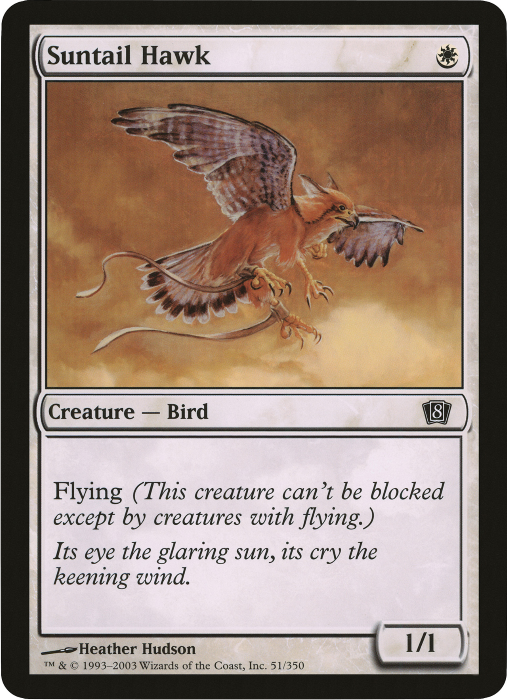 Suntail Hawk (Oversized) [Eighth Edition Box Topper] | North Game Den