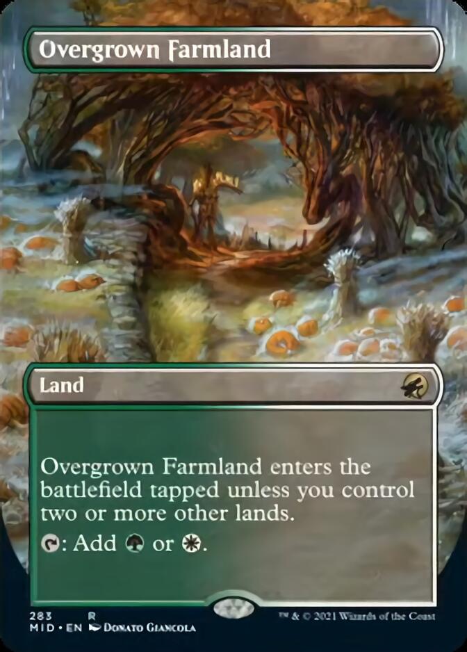 Overgrown Farmland (Borderless) [Innistrad: Midnight Hunt] | North Game Den