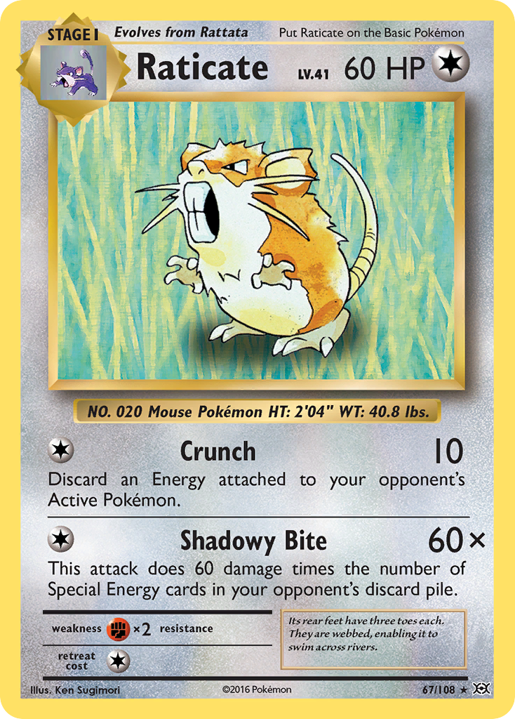 Raticate (67/108) [XY: Evolutions] | North Game Den