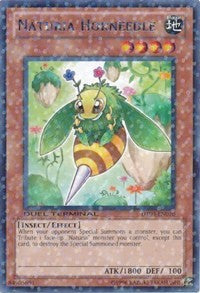 Naturia Horneedle [DT03-EN070] Rare | North Game Den