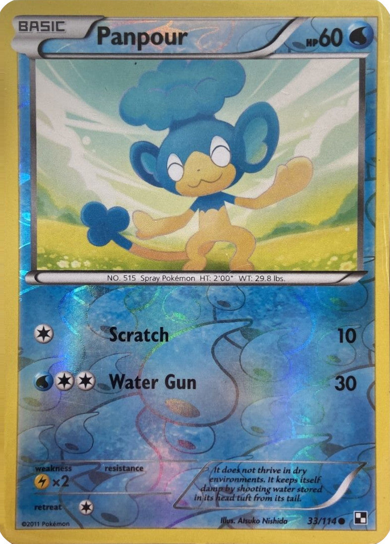 Panpour (33/114) (Energy Holo) [Black & White: Base Set] | North Game Den