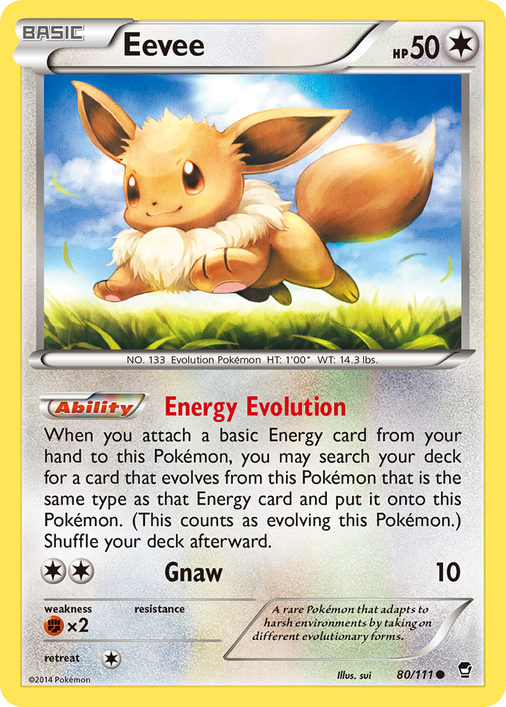 Eevee (80/111) [XY: Furious Fists] | North Game Den