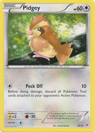 Pidgey (29/30) [XY: Trainer Kit 1 - Wigglytuff] | North Game Den