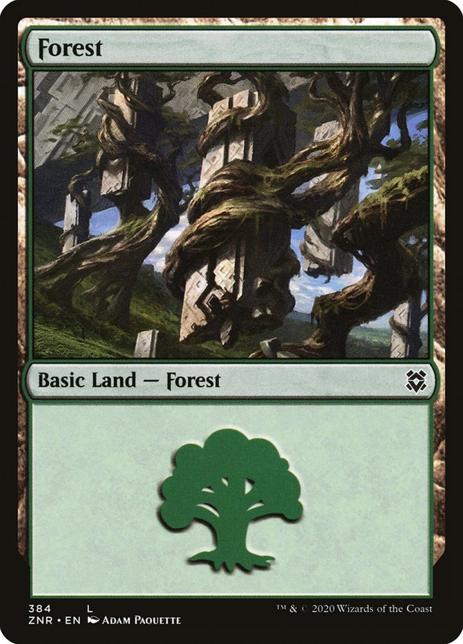 Forest (384) [Zendikar Rising] | North Game Den