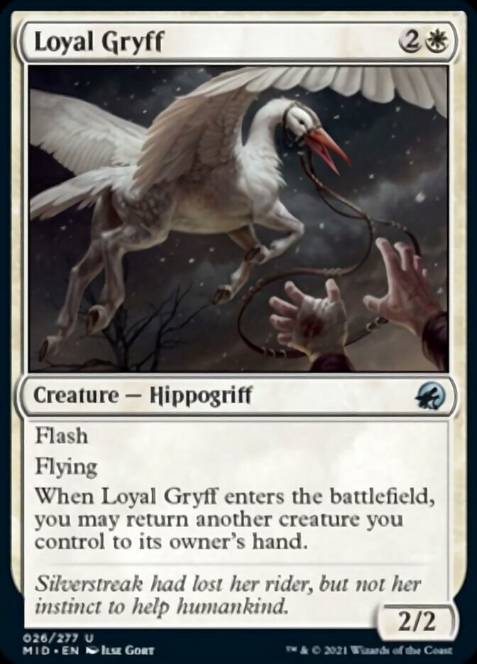 Loyal Gryff [Innistrad: Midnight Hunt] | North Game Den