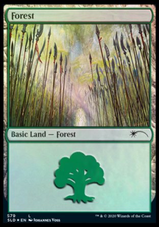 Forest (Elves) (579) [Secret Lair Drop Promos] | North Game Den