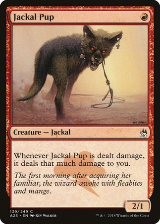 Jackal Pup [Masters 25] | North Game Den