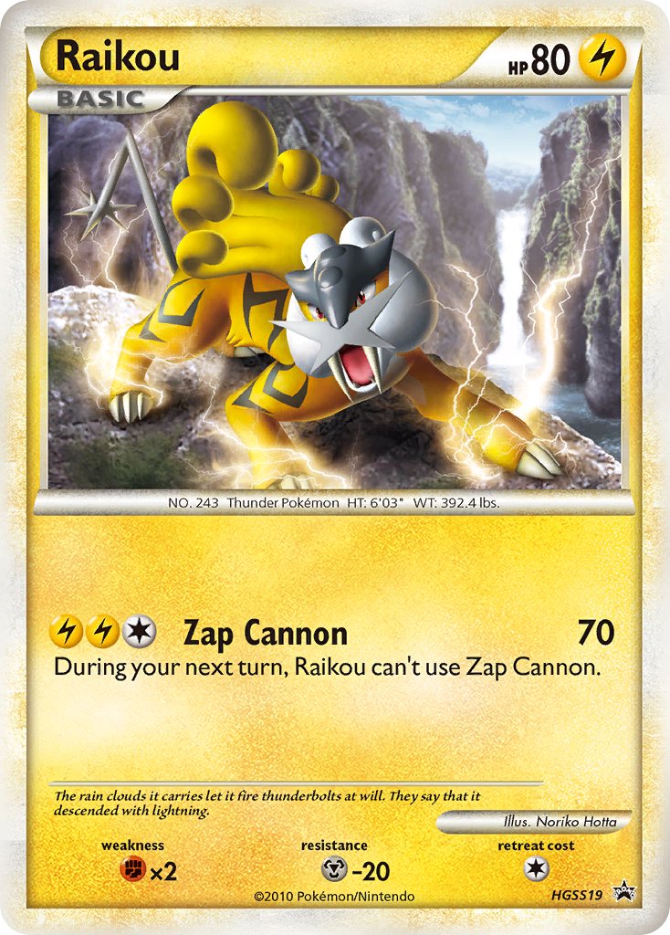 Raikou (HGSS19) [HeartGold & SoulSilver: Black Star Promos] | North Game Den
