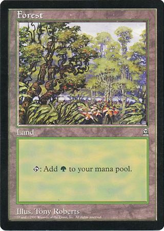 Forest (Oversized) [Oversize Cards] | North Game Den
