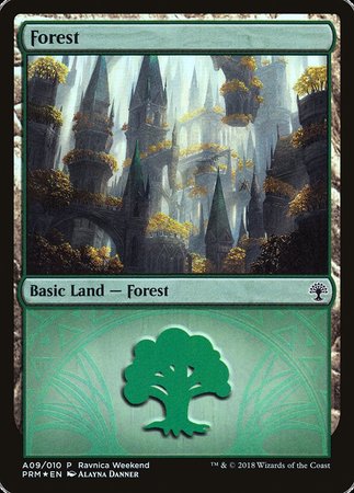 Forest - Selesnya (A09) [GRN Ravnica Weekend] | North Game Den