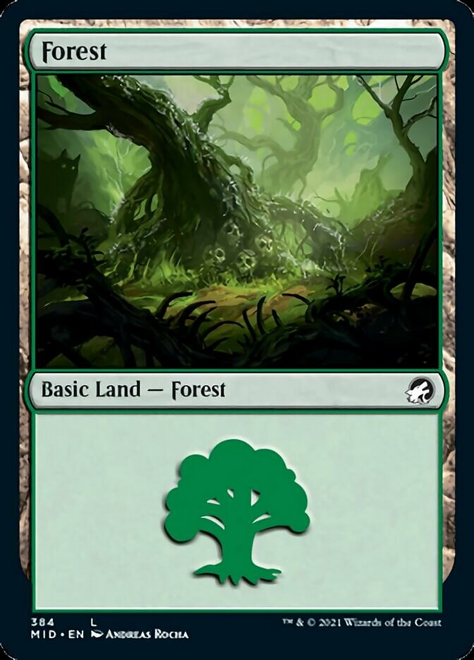 Forest (384) [Innistrad: Midnight Hunt] | North Game Den