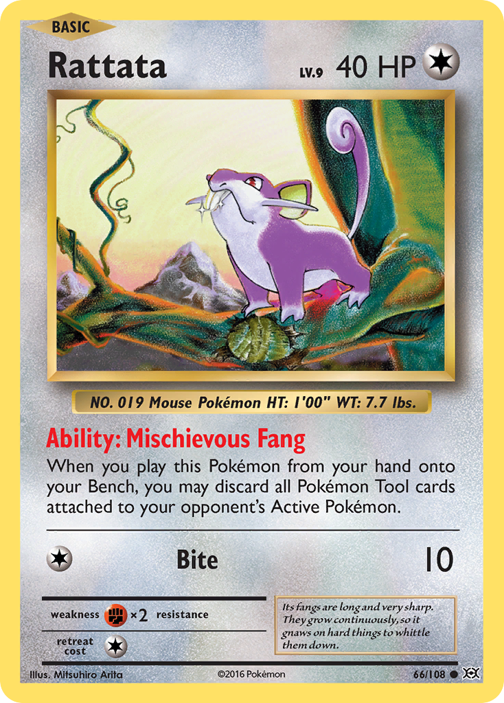 Rattata (66/108) [XY: Evolutions] | North Game Den