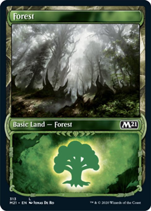 Forest (Showcase) [Core Set 2021] | North Game Den