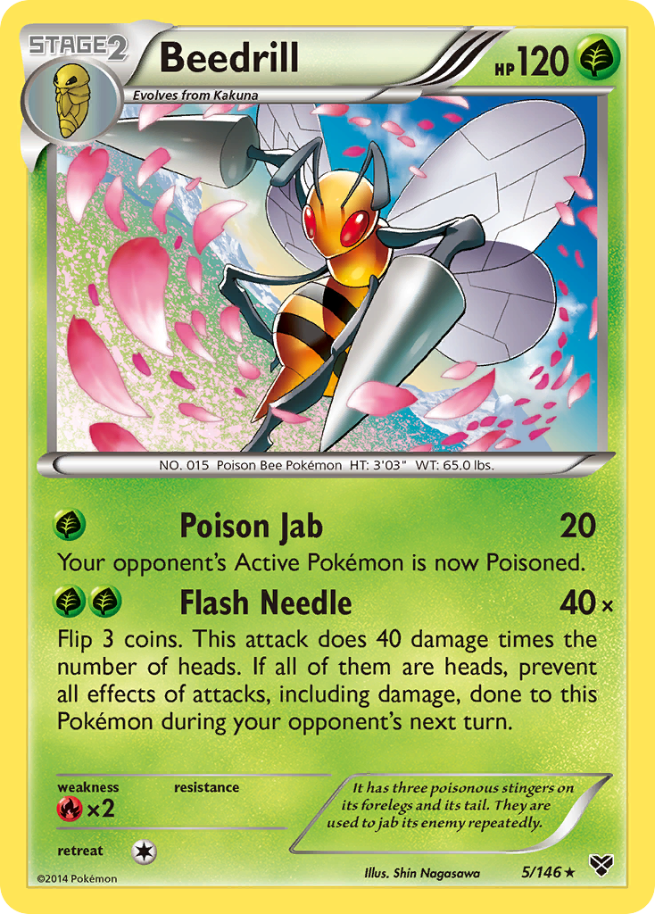 Beedrill (5/146) [XY: Base Set] | North Game Den