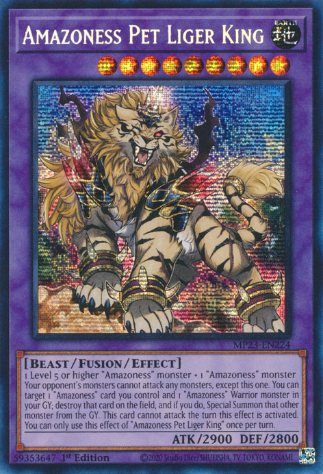 yugioh cards amazoness Yu-Gi-Oh! - Spy - SBLS-EN021 - Common - 1st Edition - Speed Duel Decks Amazoness Silver Sword Master -