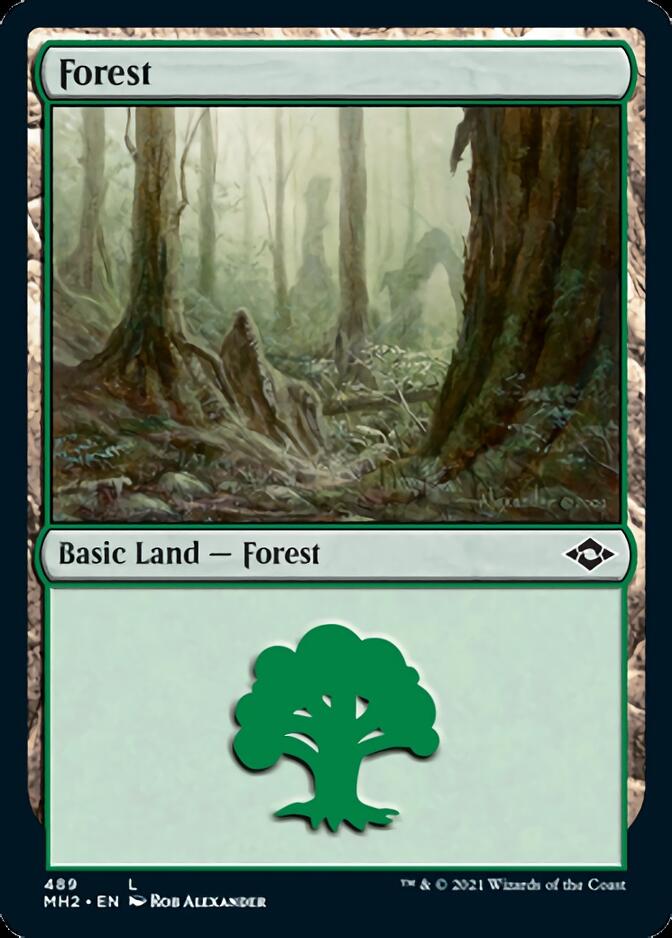 Forest (489) [Modern Horizons 2] | North Game Den